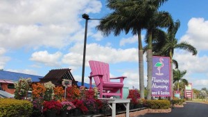 12 Great Ideas From Flamingo Road Nursery