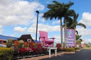 Flamingo Road Street Front 