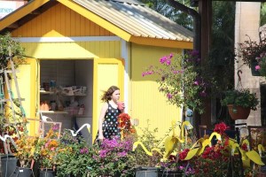 Girl Enjoying A Slushy At Flamingo Road