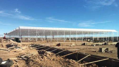 Greenhouses Are More Efficient For Marijuana Production