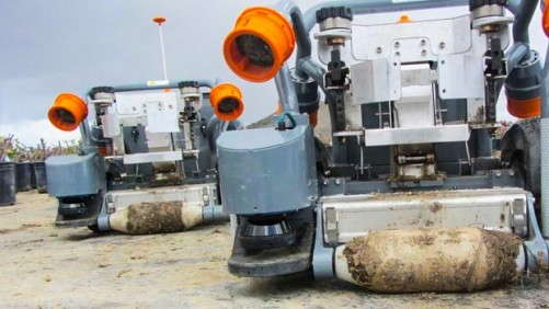 Robots Grab Hold Of Growers’ Material Handling Needs