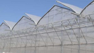 10 Greenhouse Products For First-Rate Growing Environments