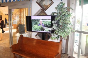 Bachman’s Floral, Home and Garden