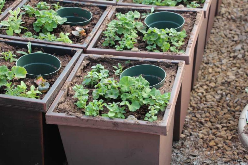 Gerten's Greenhouses and Garden Center