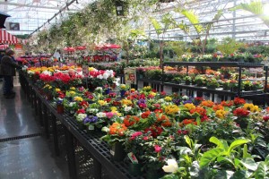 Gerten's Greenhouses and Garden Center