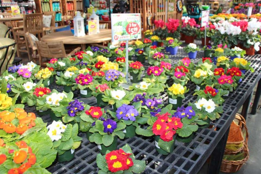 Gerten's Greenhouses and Garden Center