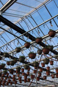 Gerten's Greenhouses and Garden Center