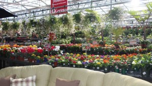 Learn Which Plant Benefits Resonate Best With Consumers