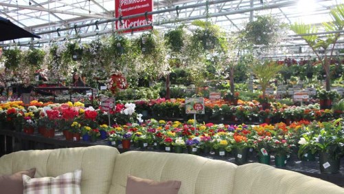Learn Which Plant Benefits Resonate Best With Consumers