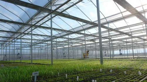 GGS Helps North Creek Nurseries Take Efficiency To A New Level