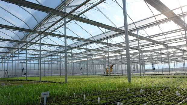 GGS Helps North Creek Nurseries Take Efficiency To A New Level ...