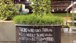 Peace Tree Farms Grows Its Customer Base