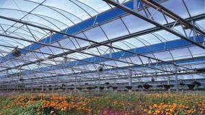 Energy Audit Resources To Reduce Energy Costs In The Greenhouse