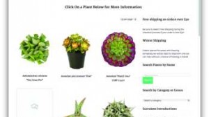 Altman Plants’ Online Cactus Shop Shows Strong Sales
