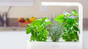 Smartpot Uses Sensors And Cartridges To Ensure Success In Growing