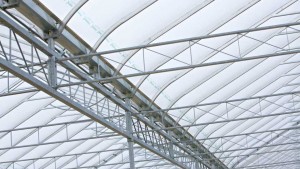 Registration Open for NGMA Spring Meeting