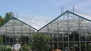 Top 10 Things I’ve Learned From The Garden Retail Industry
