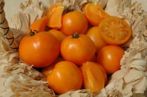 Tomato 'Chef's Choice' (Harris Seeds)