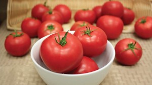 3 Questions To Ask Before Purchasing A Digital Food Safety Recordkeeping System