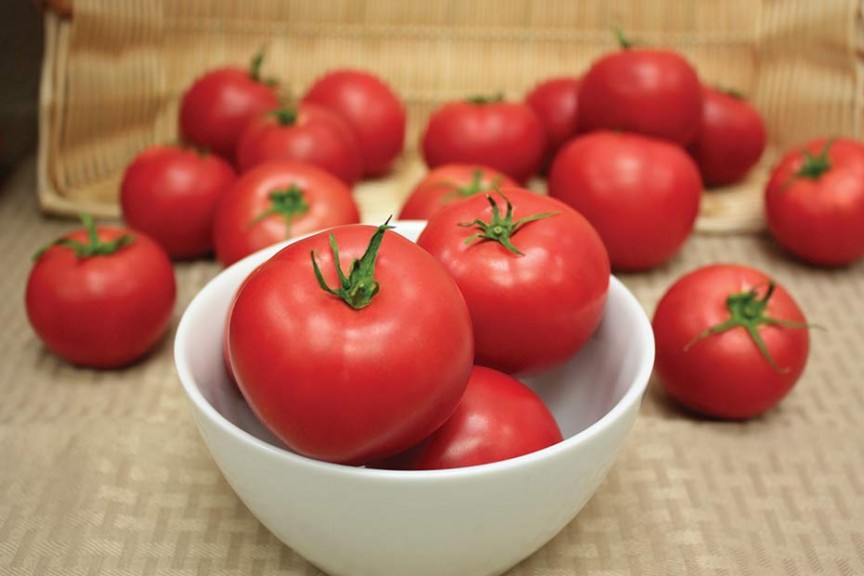 Tomato 'Think Pink' (Sakata Vegetables)