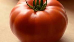 5 Selection Principles For Vegetables That Sell