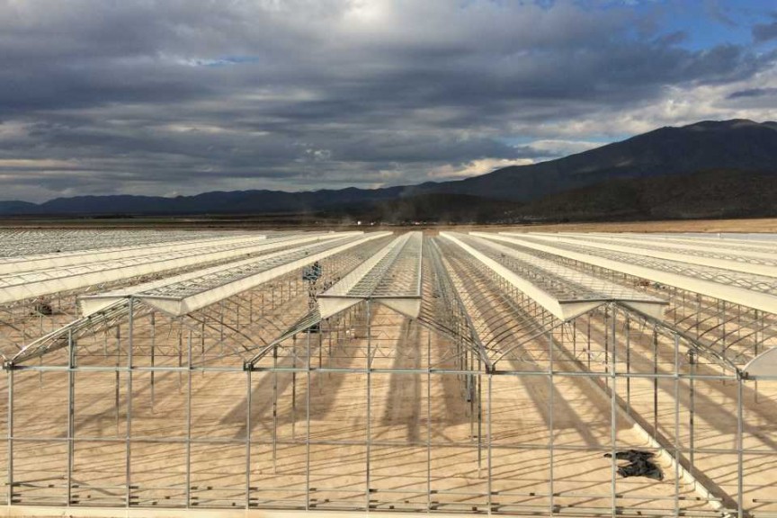 Advanced Poly Greenhouse (VB Greenhouses And BOAL Poly Systems)