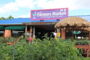 Vegetable Plants Displayed Near The Farmers' Market Entrance