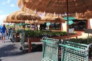 Carts Storage At Flamingo Road