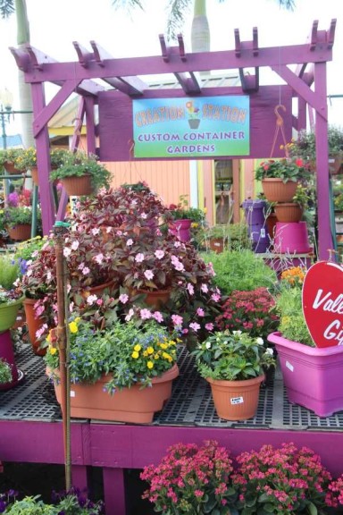 Combo Garden Station Near The Farmers Market