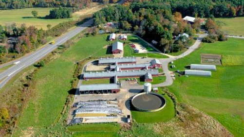 UNH Macfarlane Greenhouses to Hold Open House on April 6