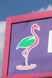 A New, Crowd-Sourced Flamingo Road Logo