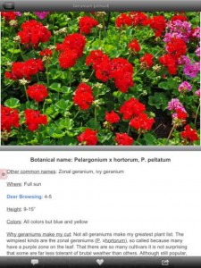 Screenshot Of Pelargonium Page