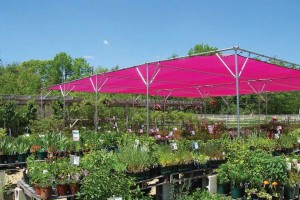 Shade Structures  (Rimol Greenhouses)