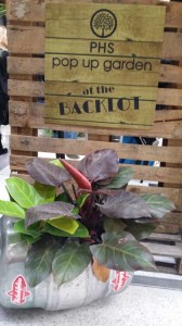 2015 Philadelphia Flower Show