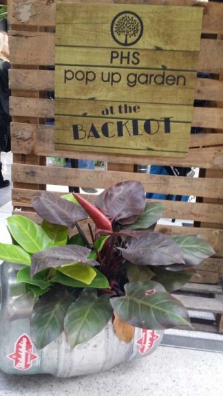 2015 Philadelphia Flower Show