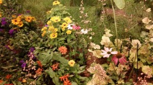 2015 Philadelphia Flower Show