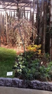 2015 Philadelphia Flower Show