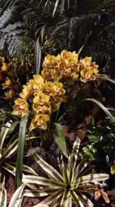 2015 Philadelphia Flower Show