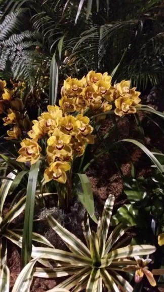2015 Philadelphia Flower Show