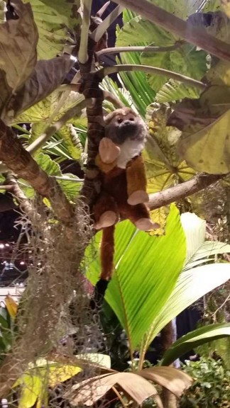 2015 Philadelphia Flower Show