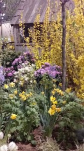 2015 Philadelphia Flower Show