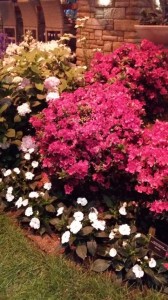 2015 Philadelphia Flower Show
