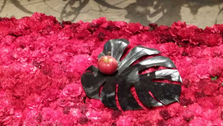 2015 Philadelphia Flower Show