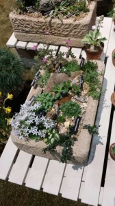 2015 Philadelphia Flower Show