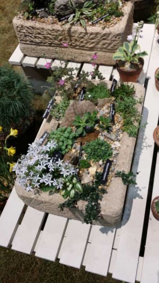 2015 Philadelphia Flower Show