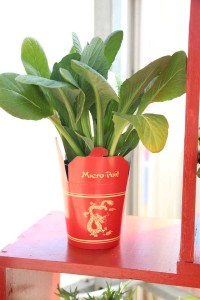 Asian Vegetables - Japanese Greens