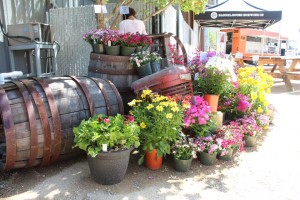 BarrelHouse Brewery in Paso Robles