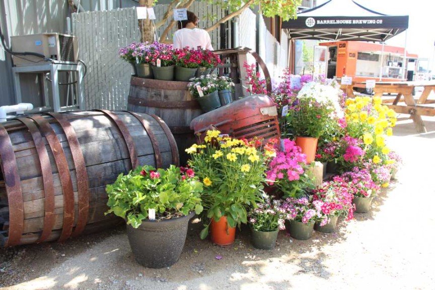 BarrelHouse Brewery in Paso Robles