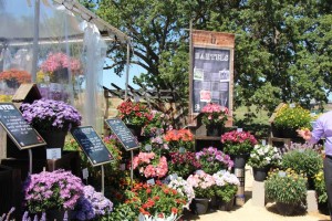 New varieties from Bartels