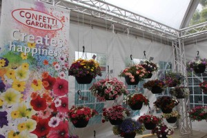 Confetti Garden, new logo and mixes